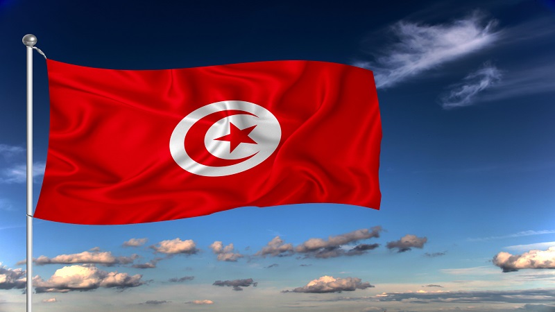 丹麥 VS 突尼西亞｜突尼西亞國旗