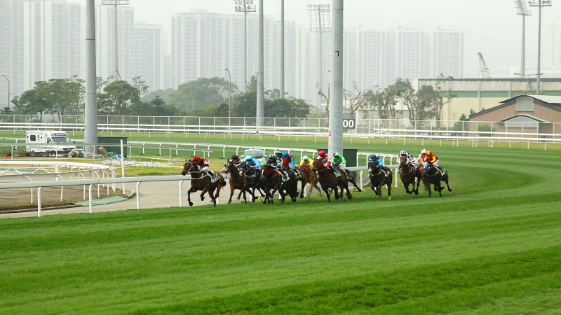 香港賽馬|賽馬競爭示意圖