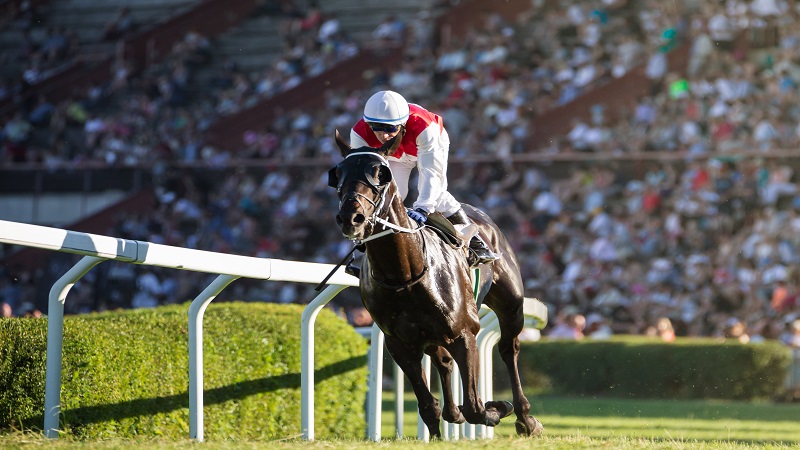 香港賽馬|賽馬選手衝刺