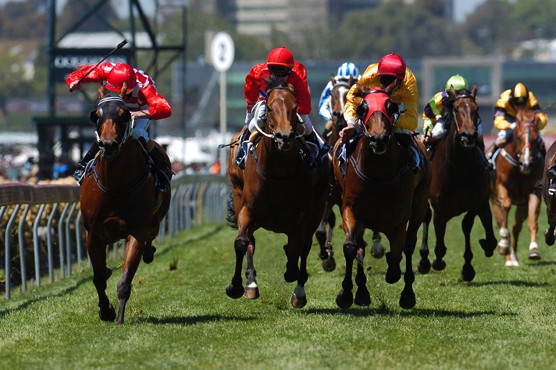 2026賽馬比賽怎麼下注？全套流程教你怎麼從賽馬比賽賺錢！