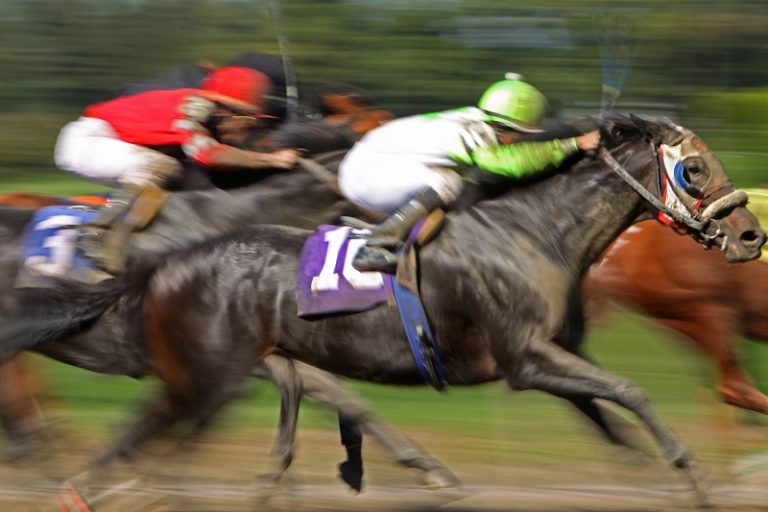 賽馬比賽技巧公開:如何提高中獎率?